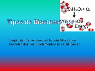 Tipos de BioelementosSegún su intervención  en la constitución de biomoleculas  los bioelementos se clasifican en 