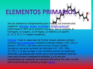 Elementos primarios Son los elementos indispensables para formar  las biomoleculas orgánicas  (glúcidos, lípidos, proteínas y ácidos nucleicos); Constituyen el 95% de la materia viva seca. Son el carbono, el hidrógeno, el oxígeno, el nitrógeno, el fósforo y el azufre (C, H, O, N, P, S, respectivamente).Carbono: tiene la capacidad de formar largas cadenas carbono-carbono (macromoléculas) mediante enlaces simples (-CH2-CH2) o dobles (-CH=CH-), así como estructuras cíclicas. Pueden incorporar una gran variedad de radicales (=O, -OH, -NH2, -SH, PO43-), lo que da lugar a una variedad enorme de moléculas distintas. Los enlaces que forma son lo suficientemente fuertes como para formar compuestos estables, y a la vez son susceptibles de romperse sin excesiva dificultad. Por esto, la vida está constituida por carbono y no por silicio.