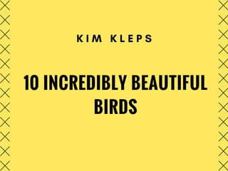 10 INCREDIBLY BEAUTIFUL
BIRDS
K I M K L E P S
 