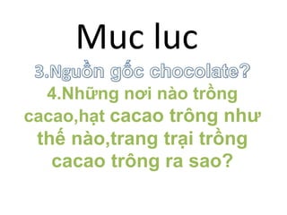 Muc luc
4.Những nơi nào trồng
cacao,hạt cacao trông như
thế nào,trang trại trồng
cacao trông ra sao?
 