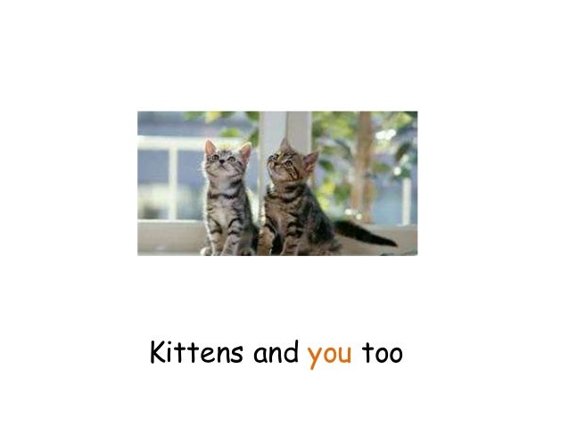 Kittens and you too
 