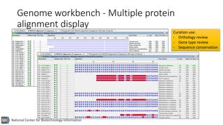 National Center for Biotechnology Information
Genome workbench - Multiple protein
alignment display
Curation use:
- Orthol...