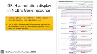 National Center for Biotechnology Informationhttp://www.ncbi.nlm.nih.gov/gene/51738
• Mature peptides were annotated on pr...