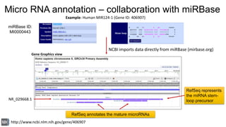 National Center for Biotechnology Information
Micro RNA annotation – collaboration with miRBase
RefSeq annotates the matur...