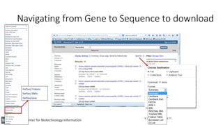 National Center for Biotechnology Information
Navigating from Gene to Sequence to download
 