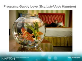 Programa Guppy Love (Exclusividade Kimpton)
 