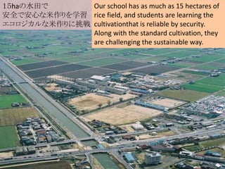 １５haの水田で
安全で安心な米作りを学習
エコロジカルな米作りに挑戦
Our school has as much as 15 hectares of
rice field, and students are learning the
cultivationthat is reliable by security.
Along with the standard cultivation, they
are challenging the sustainable way.
 