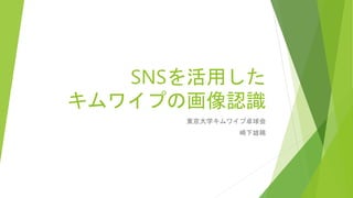 SNSを活用した
キムワイプの画像認識
東京大学キムワイプ卓球会
崎下雄稀
 
