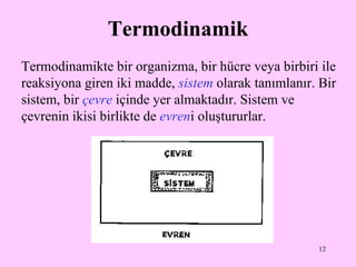 Termodinamik Termodinamikte bir organizma, bir hücre veya birbiri ile reaksiyona giren iki madde,  sistem   olarak tanımlanır. Bir sistem, bir  çevre  içinde yer almaktadır. Sistem ve çevrenin ikisi birlikte de  evren i oluştururlar .  