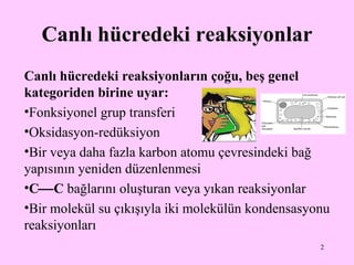Canlı hücredeki reaksiyonlar Canlı hücredeki reaksiyonların çoğu, beş genel kategoriden birine uyar : Fonksiyonel grup transferi  Oksidasyon - redüksiyon  Bir veya daha fazla karbon atomu çevresindeki bağ yapısının yeniden düzenlenmesi  C  C  bağlarını oluşturan veya yıkan reaksiyonlar Bir molekül su çıkışıyla iki molekülün kondensasyonu reaksiyonları 