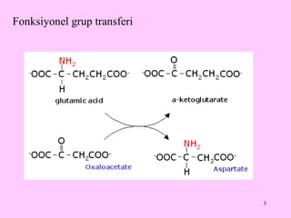 Fonksiyonel grup transferi 