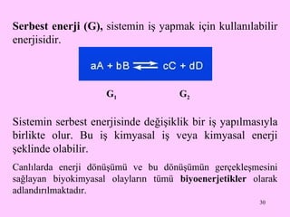 Serbest enerji (G) ,   sistemin iş yapmak için kullanılabilir enerjisidir.  Sistemin serbest enerjisinde değişiklik bir iş yapılmasıyla birlikte olur. Bu iş kimyasal iş veya kimyasal enerji şeklinde olabilir.  Canlılarda enerji dönüşümü ve bu dönüşümün gerçekleşmesini sağlayan biyokimyasal olayların tümü  biyoenerjetikler  olarak adlandırılmaktadır. G 1 G 2 