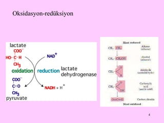 Oksidasyon-redüksiyon 