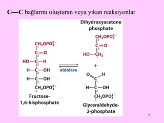 C  C  bağlarını oluşturan veya yıkan reaksiyonlar 