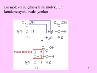 Bir molekül su çıkışıyla iki molekülün kondensasyonu reaksiyonları 