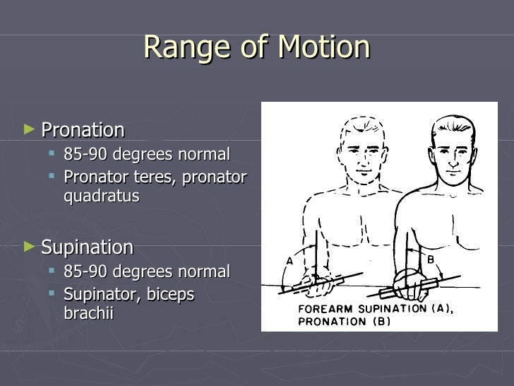 Kin 188 Elbow Evaluation And Injuries