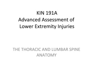 KIN 191A Advanced Assessment of  Lower Extremity Injuries THE THORACIC AND LUMBAR SPINE ANATOMY 