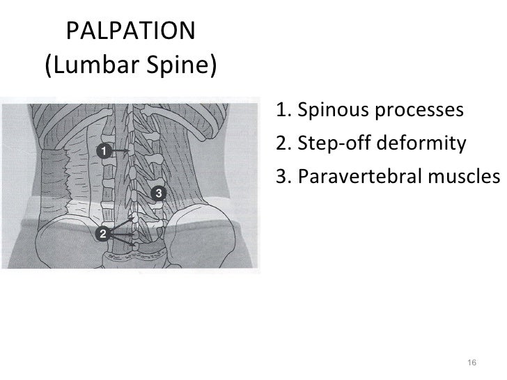 kin191-a-ch-10-lumbar-thoracic-evaluation