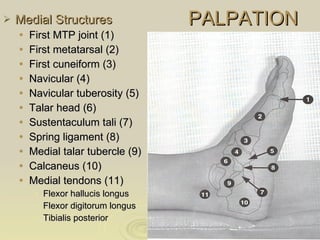 Kin191 A. Ch.4. Foot. Toes. Evaluation. Fall 2007 | PPT
