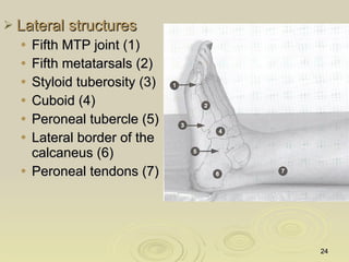 Kin191 A. Ch.4. Foot. Toes. Evaluation. Fall 2007 | PPT