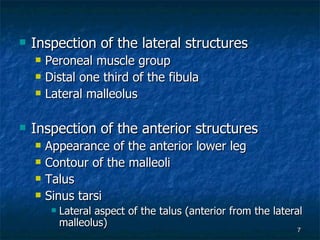 Inspection of the lateral structures Peroneal muscle group Distal one third of the fibula Lateral malleolus Inspection of the anterior structures Appearance of the anterior lower leg Contour of the malleoli Talus Sinus tarsi Lateral aspect of the talus (anterior from the lateral malleolus) 