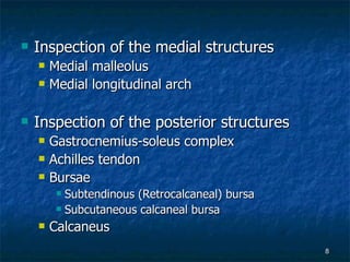 Inspection of the medial structures Medial malleolus Medial longitudinal arch Inspection of the posterior structures Gastrocnemius-soleus complex Achilles tendon Bursae Subtendinous (Retrocalcaneal) bursa Subcutaneous calcaneal bursa Calcaneus 