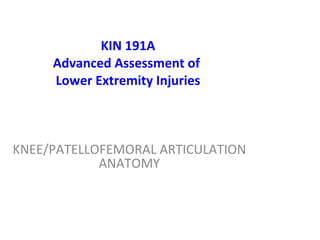 KIN 191A Advanced Assessment of  Lower Extremity Injuries KNEE /PATELLOFEMORAL ARTICULATION  ANATOMY 
