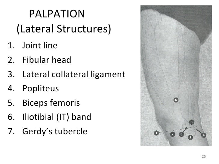 Palpation Medial Joint Line Chronic Lateral Ankle Instability: A