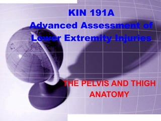 KIN 191A Advanced Assessment of Lower Extremity Injuries THE PELVIS AND THIGH ANATOMY 
