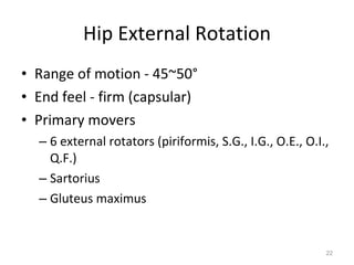 Kin191 A.Ch.8. Pelvis. Thigh. Evaluation | PPT