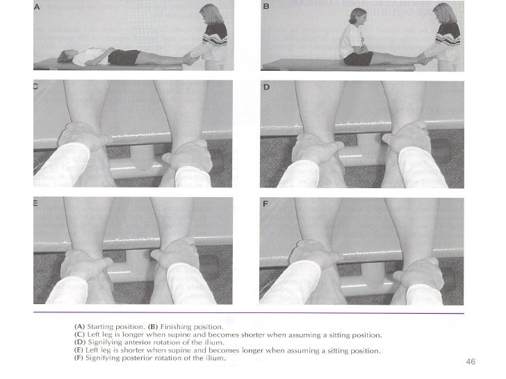Kin191 A.Ch.8. Pelvis. Thigh. Evaluation