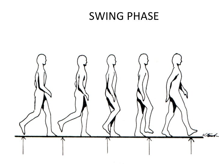 Kin191 A.Ch.9. Evaluation Of Gait