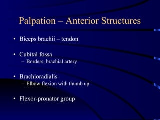 Kin 191 B Elbow And Forearm Anatomy And Evaluation | PPT