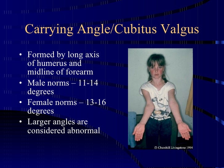 Kin 191 B Elbow And Forearm Anatomy And Evaluation