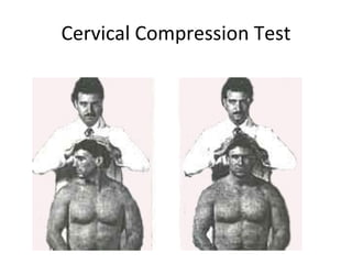 Kin 191 B – Cervical Spine Anatomy, Evaluation And Injuries | PPT