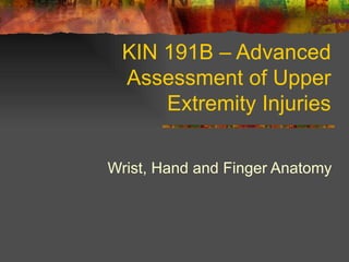 KIN 191B – Advanced Assessment of Upper Extremity Injuries Wrist, Hand and Finger Anatomy 