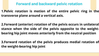 Transverse Hip Rotation kinametics of hip joint .pptx_20251222_122625_0000.pdf