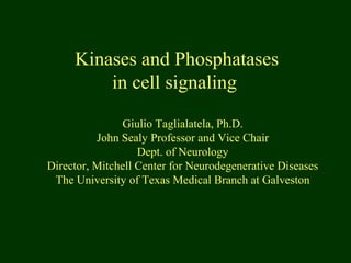 Kinases and Phosphatases
in cell signaling
Giulio Taglialatela, Ph.D.
John Sealy Professor and Vice Chair
Dept. of Neurology
Director, Mitchell Center for Neurodegenerative Diseases
The University of Texas Medical Branch at Galveston
 