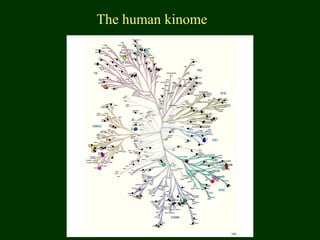 The human kinome
 