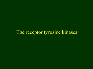 The receptor tyrosine kinases
 