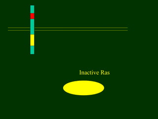 Inactive Ras
 