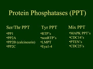 Protein Phosphatases (PPT)
Ser/Thr PPT Tyr PPT Mix PPT
•MAPK PPT’s
•CDC14’s
•PTEN’s
•CDC25’s
•RTP’s
•nonRTP’s
•LMPT
•Eya1-4
•PP1
•PP2A
•PP2B (calcineurin)
•PP2C
 