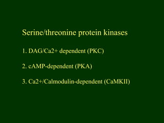 Serine/threonine protein kinases
1. DAG/Ca2+ dependent (PKC)
2. cAMP-dependent (PKA)
3. Ca2+/Calmodulin-dependent (CaMKII)
 