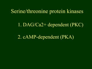 1. DAG/Ca2+ dependent (PKC)
2. cAMP-dependent (PKA)
Serine/threonine protein kinases
 