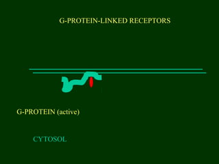 G-PROTEIN-LINKED RECEPTORS
CYTOSOL
G-PROTEIN (active)
 