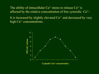 The ability of intracellular Ca2+
stores to release Ca2+
is
affected by the relative concentration of free cytosolic Ca2+
:
It is increased by slightly elevated Ca2+
and decreased by very
high Ca2+
concentrations.
0
2
4
6
8
10
12
Cytpsolic Ca2+ concentration
ERCa2+release
 