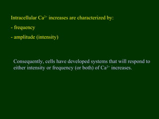 Intracellular Ca2+
increases are characterized by:
- frequency
- amplitude (intensity)
Consequently, cells have developed systems that will respond to
either intensity or frequency (or both) of Ca2+
increases.
 
