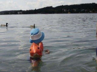 Ferienanlage Klopeinersee-Kinder