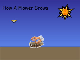 How A   Flower   Grows 