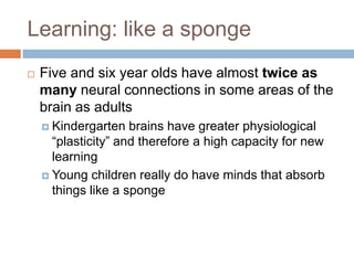 Learning: like a spongeFive and six year olds have almost twice as many neural connections in some areas of the brain as adultsKindergarten brains have greater physiological “plasticity” and therefore a high capacity for new learningYoung children really do have minds that absorb things like a sponge